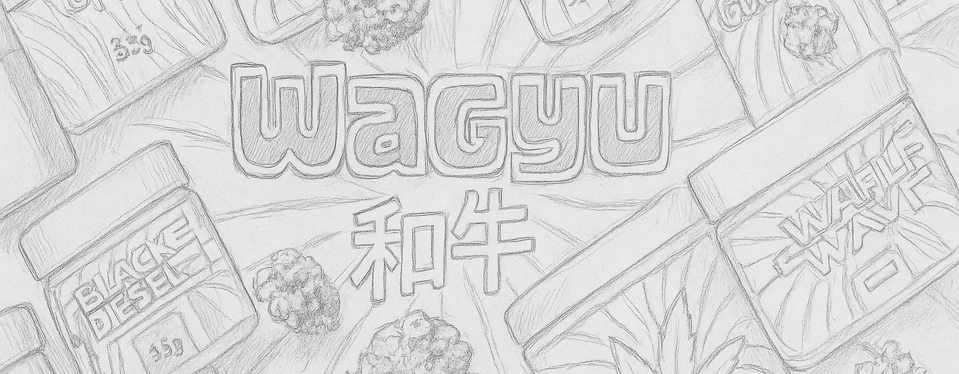 <h1>Graphic Design</h1>