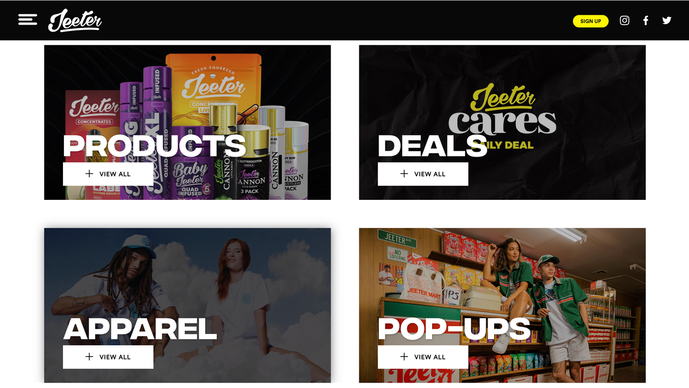 <h1>Website Design</h1>