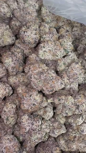 CA-Farms 1lb Indoor THCA Flower 30%+ / J. Cherry