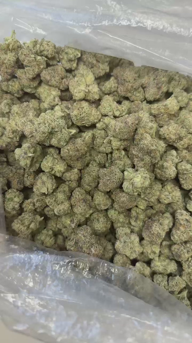 CA-Farms 1lb Indoor Smalls THCA Flower 25%+ / Lemon Cherry Gelato