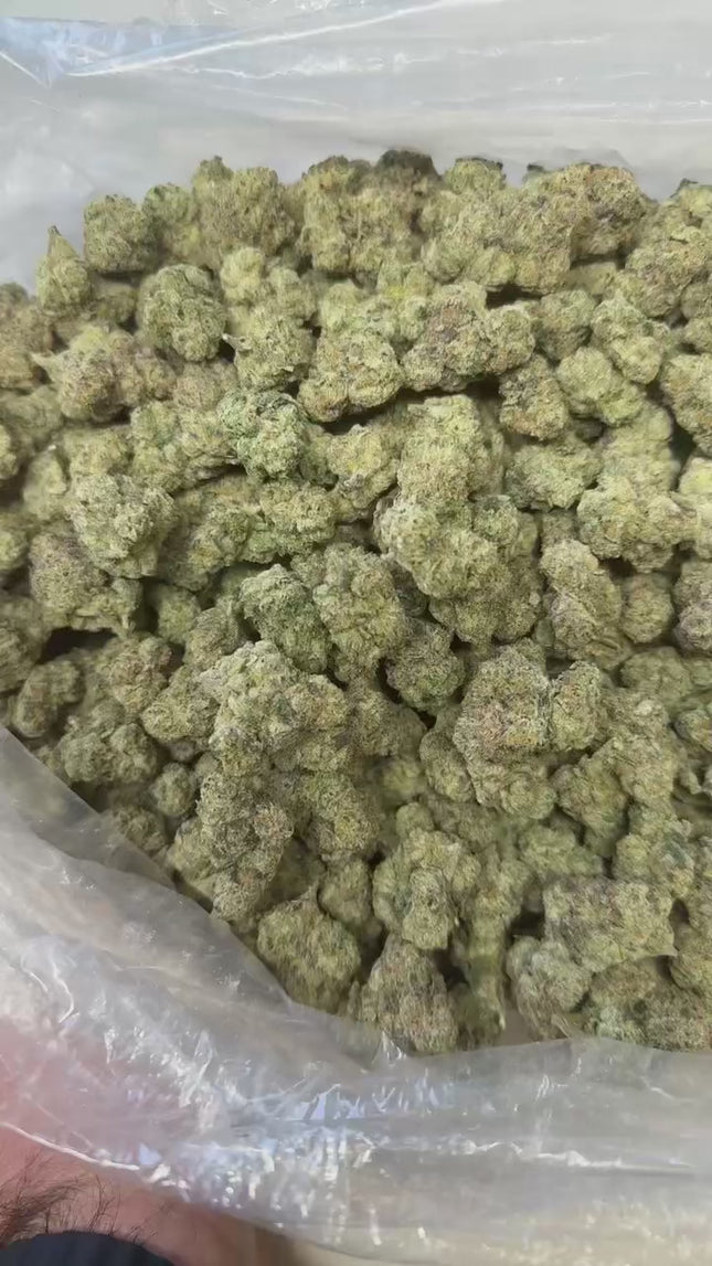 CA-Farms 1lb Indoor Smalls THCA Flower 25%+ / Jungle Gelato