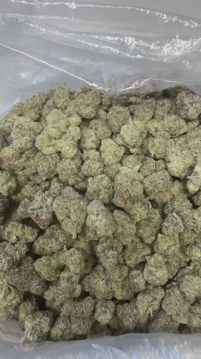 CA-Farms 1lb Indoor Smalls THCA Flower 25%+ / Russian Runtz x LCG