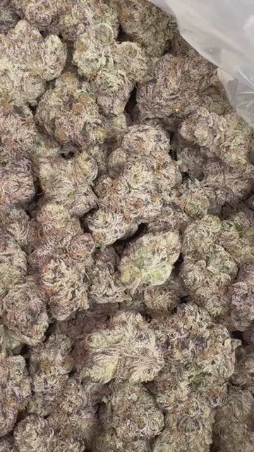 CA-Farms 1lb Indoor THCA Flower 30%+ / Russian Runtz