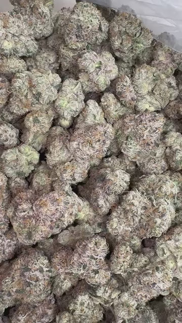 CA-Farms 1lb Indoor THCA Flower 30%+ / Lemon Cherry Gelato