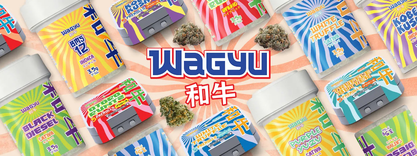 <h1>Graphic Design</h1>